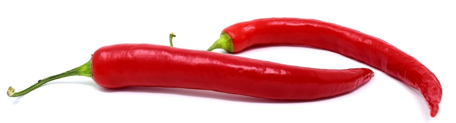 Chilli paprička